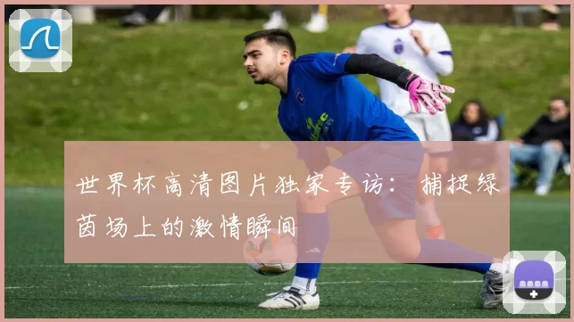 世界杯高清图片独家专访:捕捉绿茵场上的激情瞬间