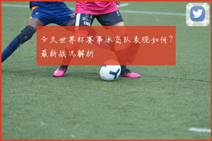 今天世界杯赛事冰岛队表现如何？最新战况解析