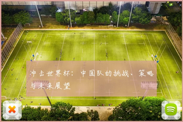 冲击世界杯：中国队的挑战、策略与未来展望