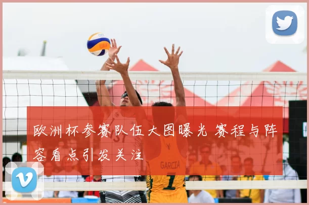 欧洲杯参赛队伍大图曝光 赛程与阵容看点引发关注