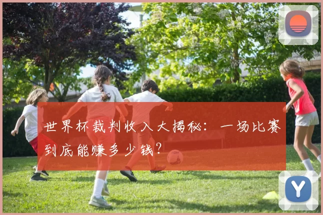 世界杯裁判收入大揭秘：一场比赛到底能赚多少钱？