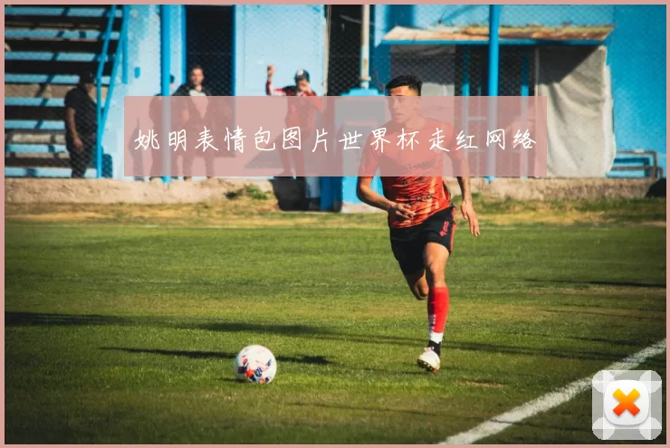 姚明表情包图片世界杯走红网络