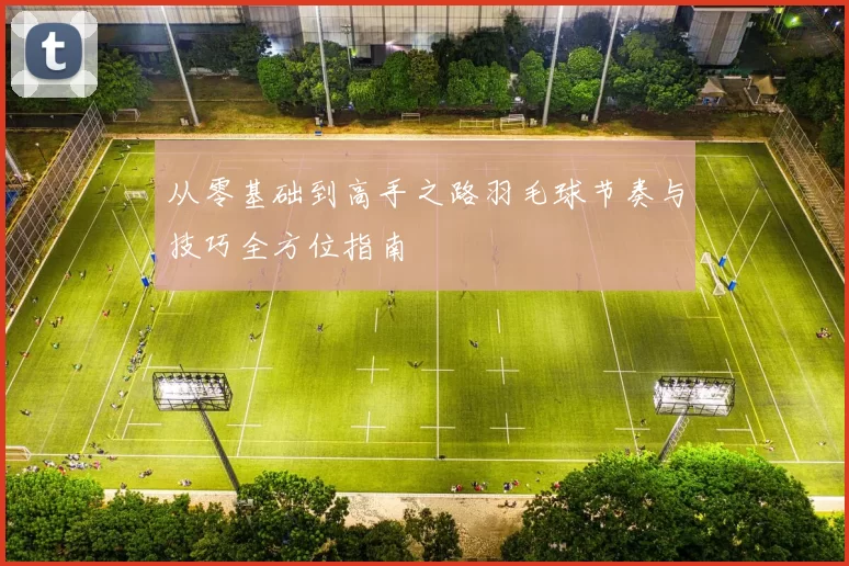 从零基础到高手之路羽毛球节奏与技巧全方位指南