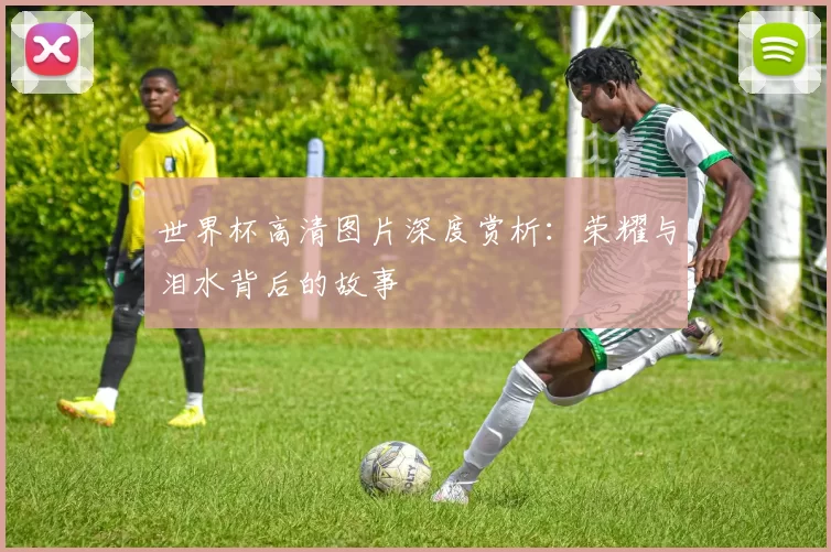 世界杯高清图片深度赏析：荣耀与泪水背后的故事