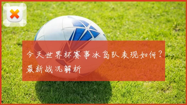 今天世界杯赛事冰岛队表现如何?最新战况解析