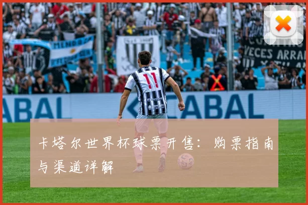 卡塔尔世界杯球票开售:购票指南与渠道详解