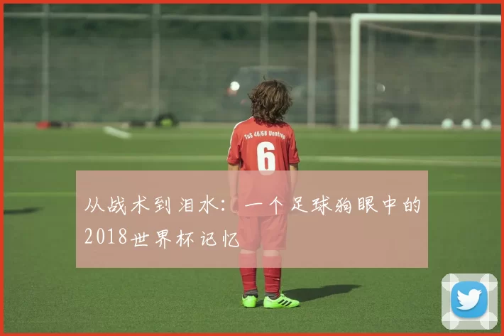 从战术到泪水:一个足球狗眼中的2018世界杯记忆