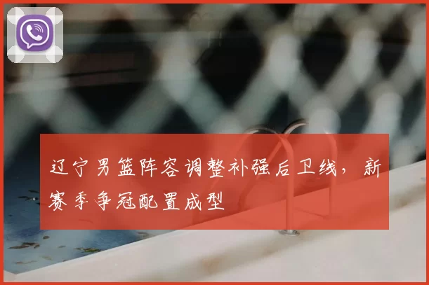 辽宁男篮阵容调整补强后卫线，新赛季争冠配置成型