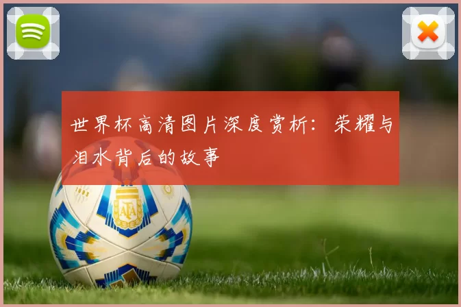 世界杯高清图片深度赏析:荣耀与泪水背后的故事