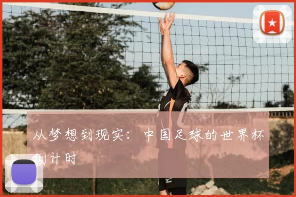 从梦想到现实:中国足球的世界杯倒计时