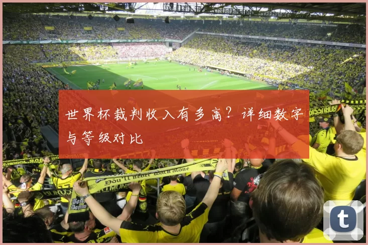 世界杯裁判收入有多高？详细数字与等级对比
