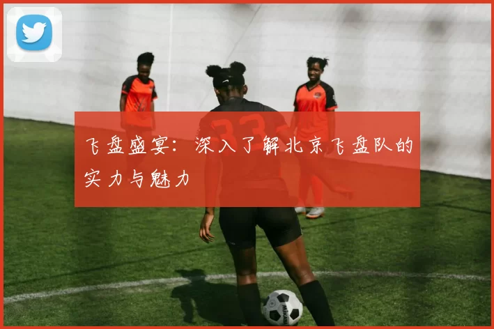 飞盘盛宴：深入了解北京飞盘队的实力与魅力