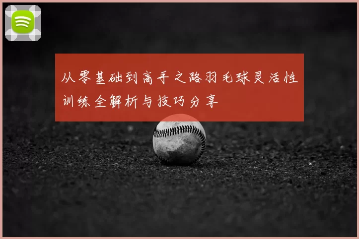 从零基础到高手之路羽毛球灵活性训练全解析与技巧分享