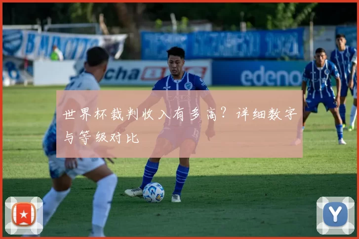 世界杯裁判收入有多高？详细数字与等级对比