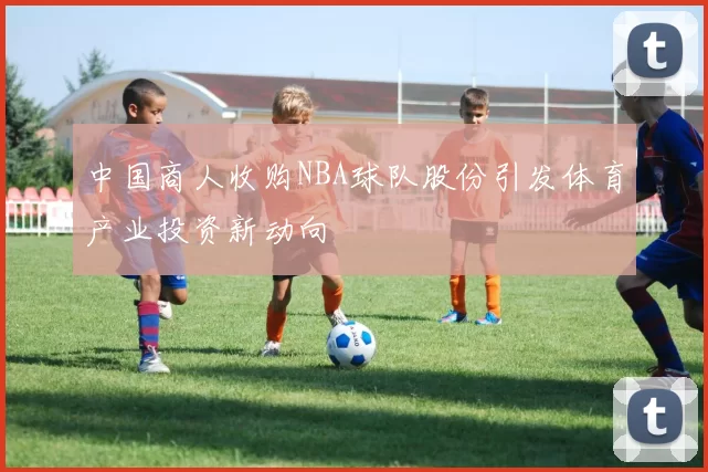 中国商人收购NBA球队股份引发体育产业投资新动向